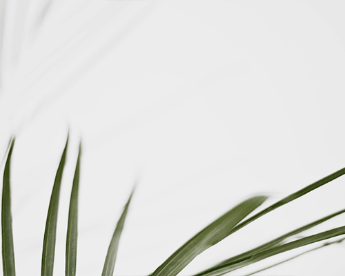 Beikeshop 1.5.6.9 new version released! ! !